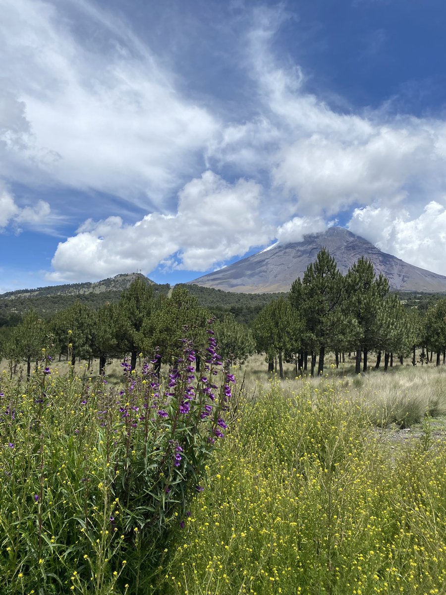 LifeMuseumML's tweet photo. Este es un lugar sagrado. Paso de Cortés. #amecameca #puebla #mexico https://t.co/hEjsx4xAkj