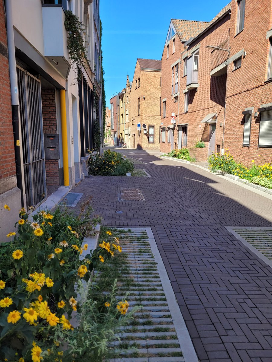 why I don't bike in Vienna tweet media