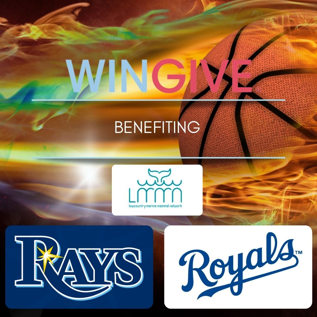 WinGiveApp's tweet photo. Choose to represent #RaysUp or #TogetherRoyal , and pledge a #WinGive to Lowcountry Marine Mammal Network.
🔗Click the link to get started https://t.co/dUTbsr3lTY
#wingive #app #charity #nonprofits #fundraising #yourfavoritecharity #sportsfans #fundraisingplatform #campaigns https://t.co/qFbgKX2UUj