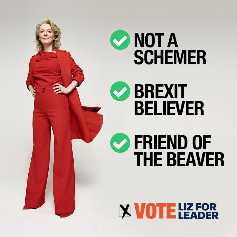#LizForLeader