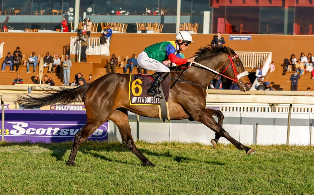 club_irc's tweet photo. THE WAY WE LOVE TO SEE THEM WINNING!
A lovely third career win for IRC and partners' Humdinger (What A Winter), unextended, 2.5-lengths under Richard Fourie. Well done, thank you to all involved. @richardfourie @MdkRacing #humdinger #clubirc #ircrunners #mikedekock #richardfourie https://t.co/El0amMHfl3