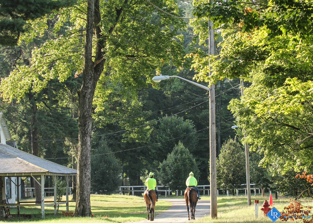 LindaRiceRacing's tweet photo. Got the Gold is our lone runner today in race 3 at Saratoga. Good luck to the connections! https://t.co/OVGUE5Y6s5