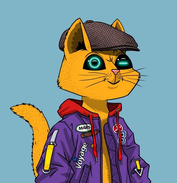 NFT_AmazingCats's tweet photo. @MarsCatsVoyage Im ready!!

LFG!! https://t.co/0HeoNcVxtH