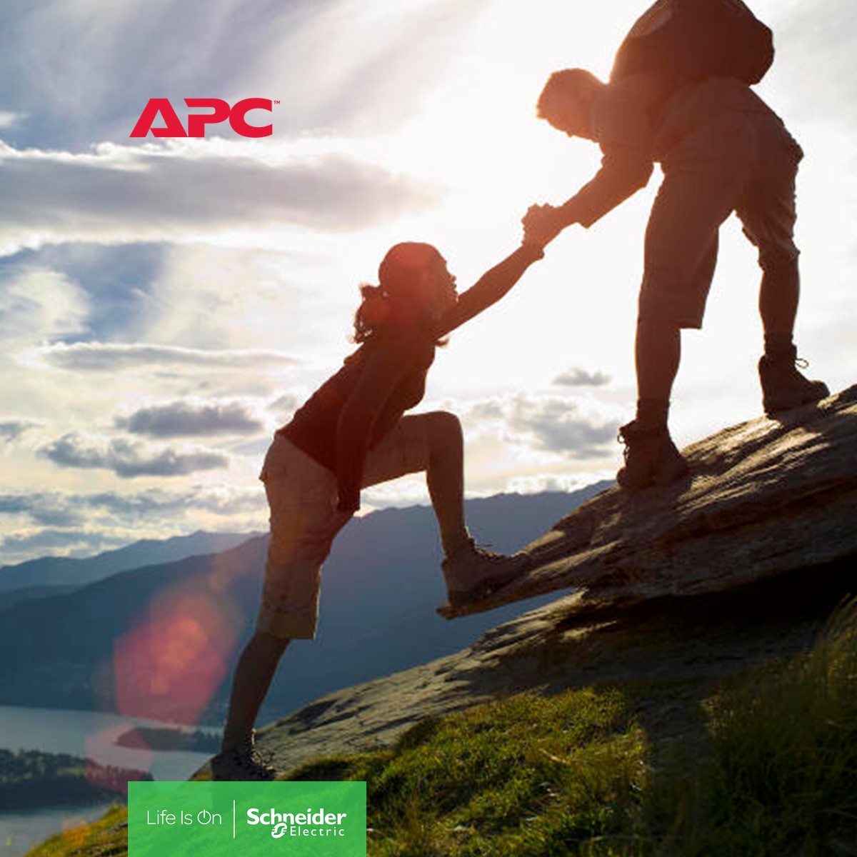 APC_Channels tweet media