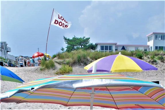 LouDogsSeaIsle's tweet photo. Since 1982…

OPEN EVERYDAY 🌭
11a-8p ⏰
@ 38th &amp; Pleasure 🏖
#LouDogsSIC https://t.co/iSBJzBlfhL