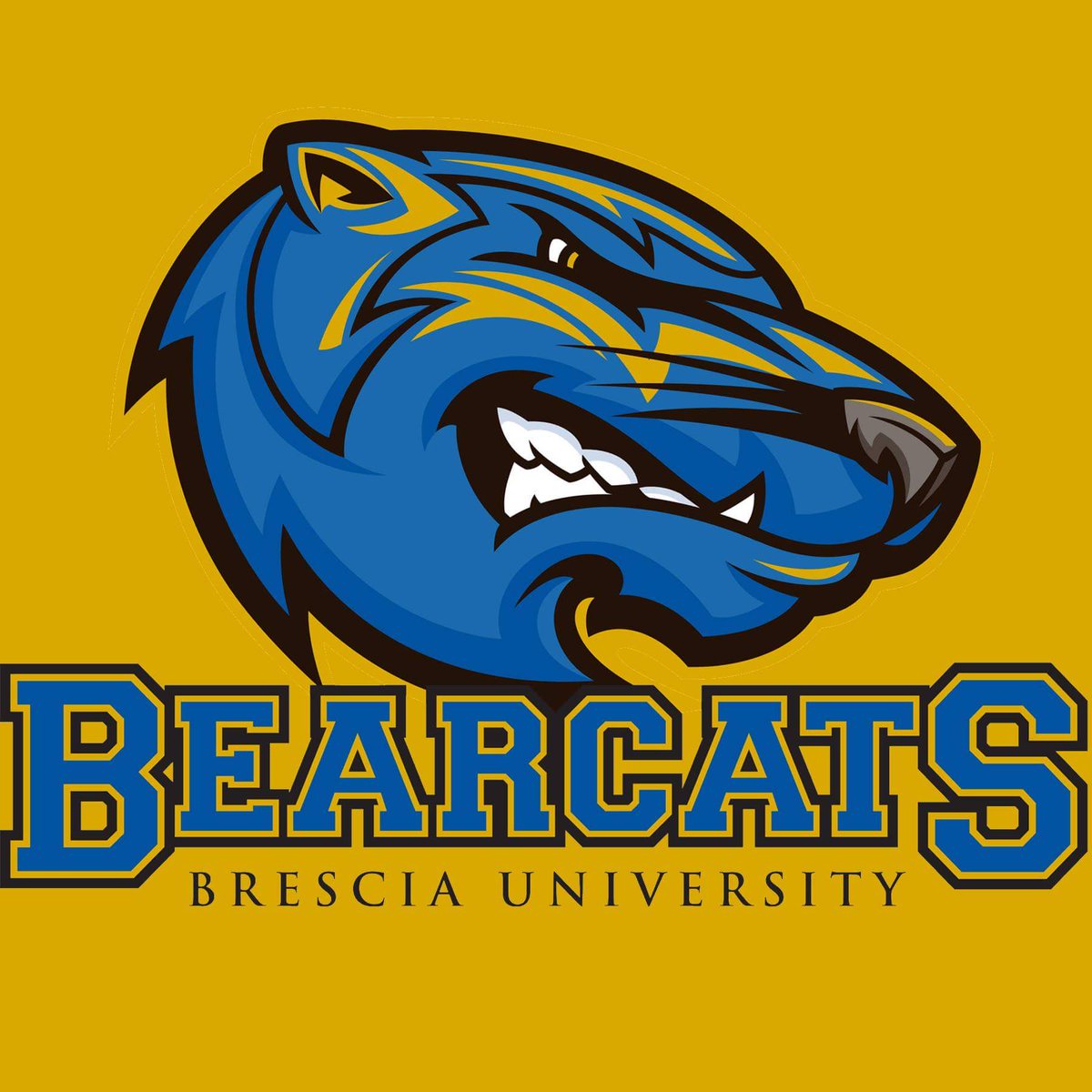 It's getting to the final count down!! If you have not found a university to continue your education and play college 🏀 CONTACT MICHAEL.GRAY@BRESCIA.EDU