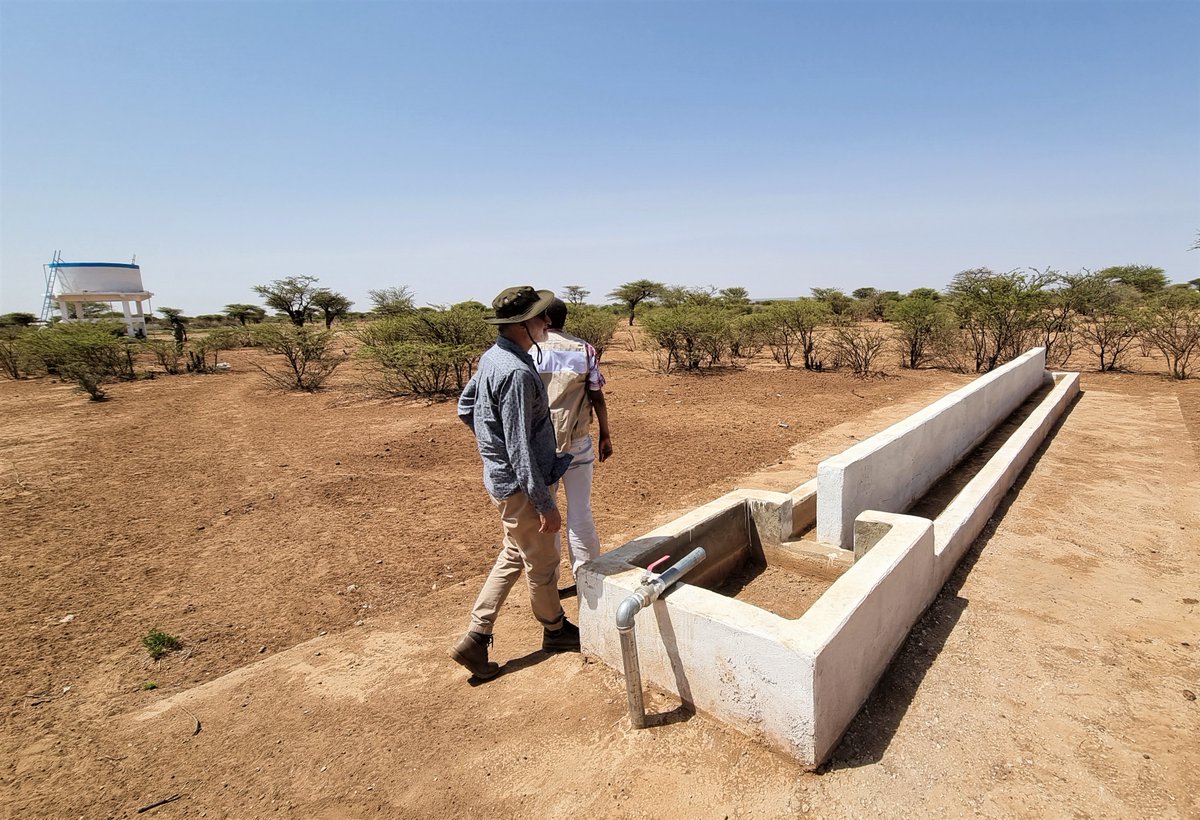 Ugo Leonardi tweet media