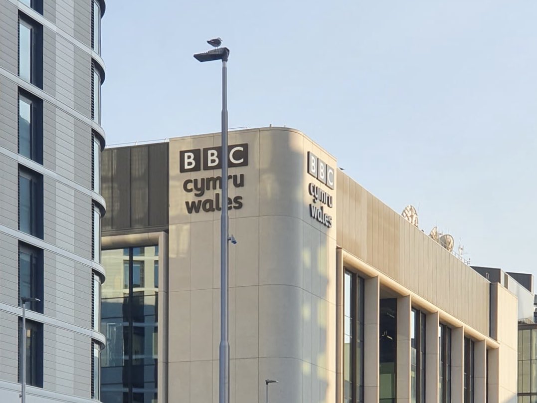 Jared Evitts tweet media