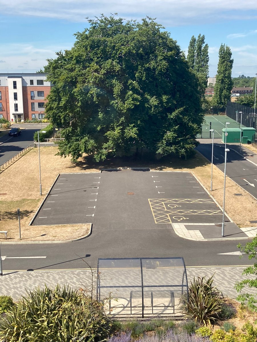 thomascurtis89's tweet photo. @CityPlannerYT textbook carpark outside a school near my flat. https://t.co/AfoECwn2aa