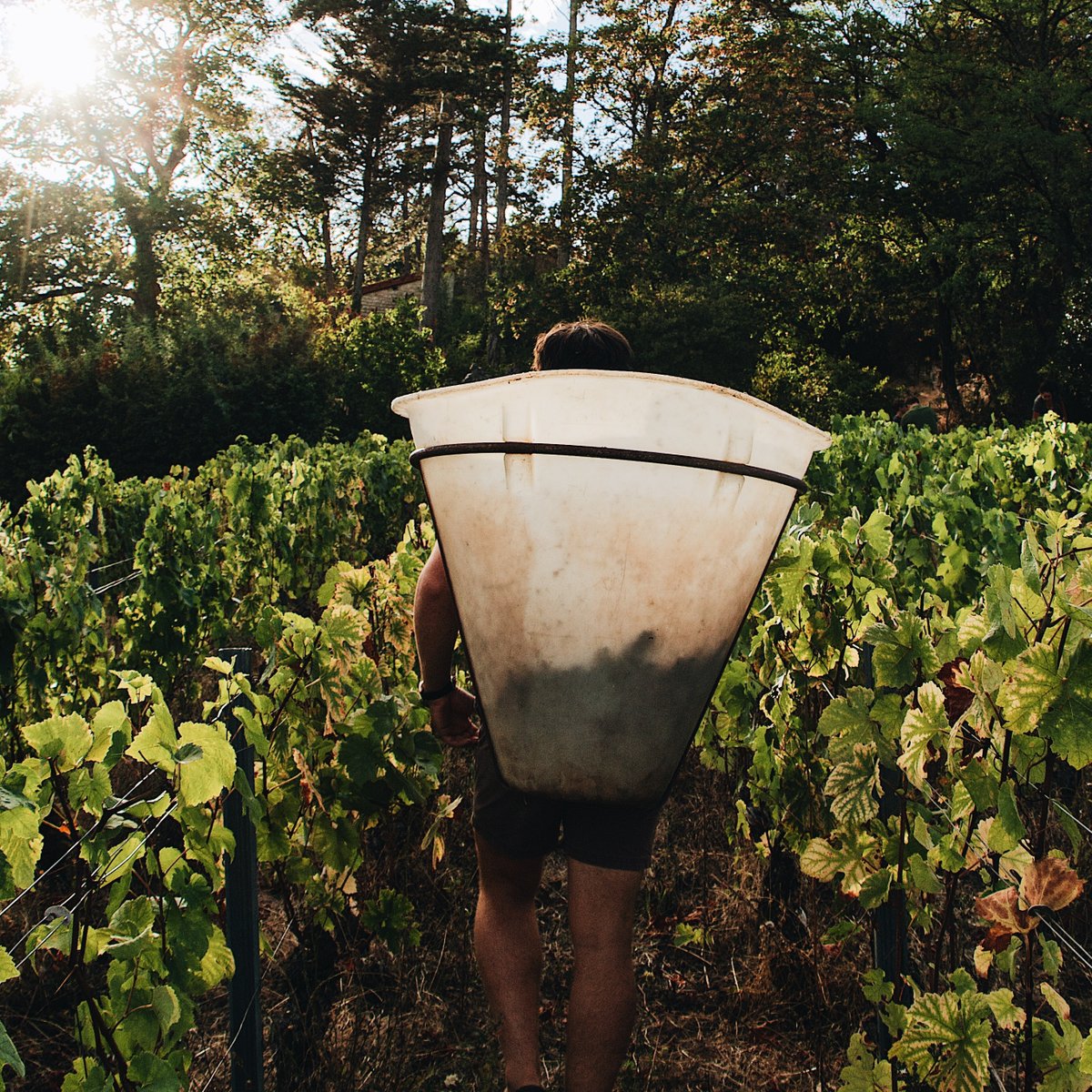 Cheltenham Wine Festival (@cheltwinefest) on Twitter photo Discover the people and special places behind your favourite wines at The Cheltenham Wine Festival 🍷🥂
Tickets £25pp: ow.ly/gX8b50K2XNc
#cheltenham #wine #winetasting #cotswolds #winepassport #gloucestershire #cheltwinefest #thefestivaltown <a href="/CheltNorthRC/">Chelt North RC</a> Discover the people and special places behind your favourite wines at The Cheltenham Wine Festival 🍷🥂
Tickets £25pp: ow.ly/gX8b50K2XNc
#cheltenham #wine #winetasting #cotswolds #winepassport #gloucestershire #cheltwinefest #thefestivaltown <a href="/CheltNorthRC/">Chelt North RC</a>