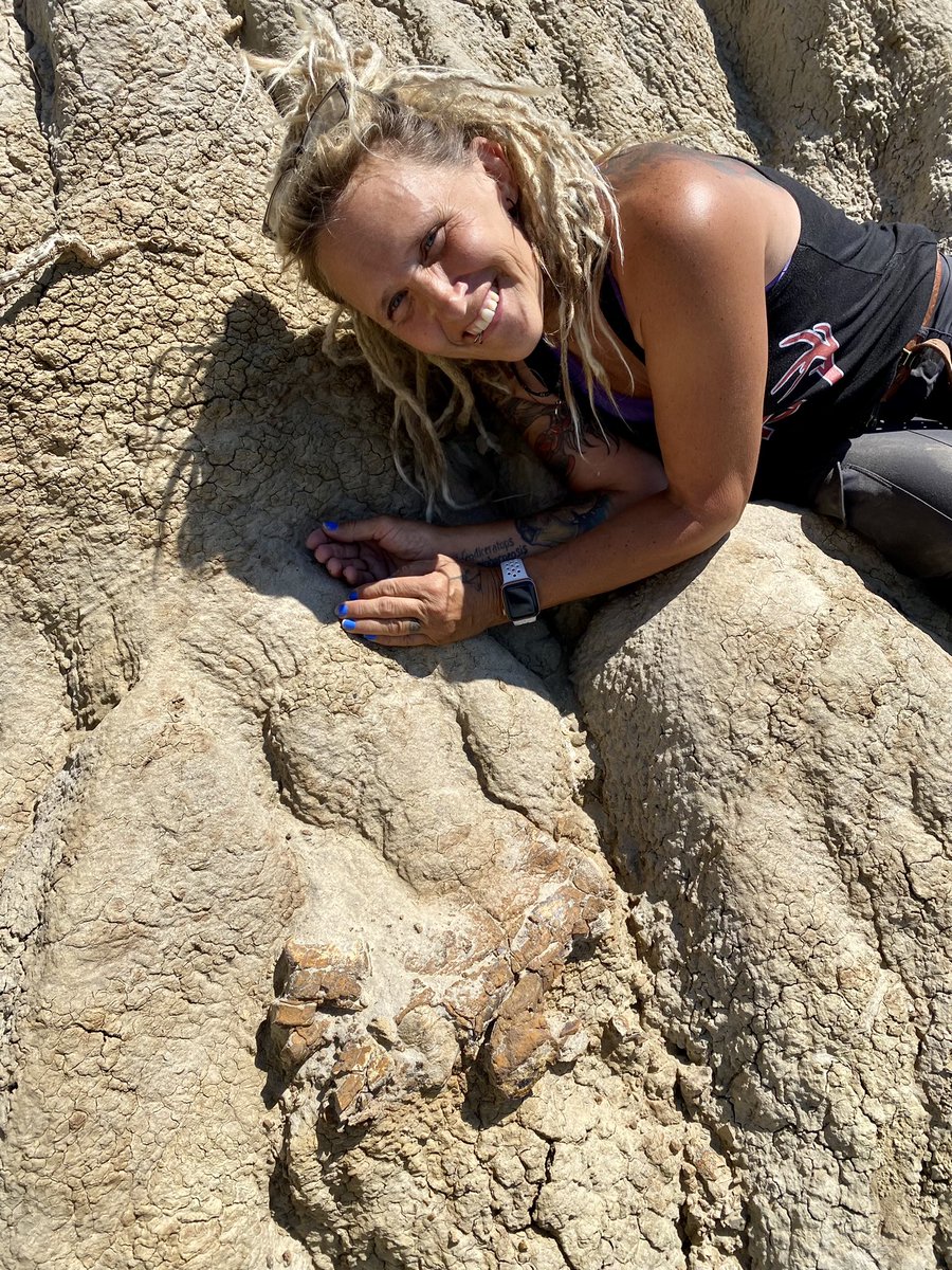 David Evans tweet media