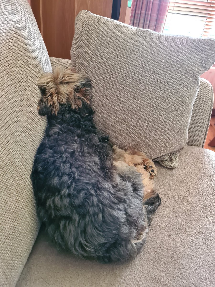 Ollie cant bear to watch anymore <a href="/Kerry_Official/">Kerry GAA</a> <a href="/Galway_GAA/">Galway GAA Official</a> <a href="/officialgaa/">The GAA</a>
