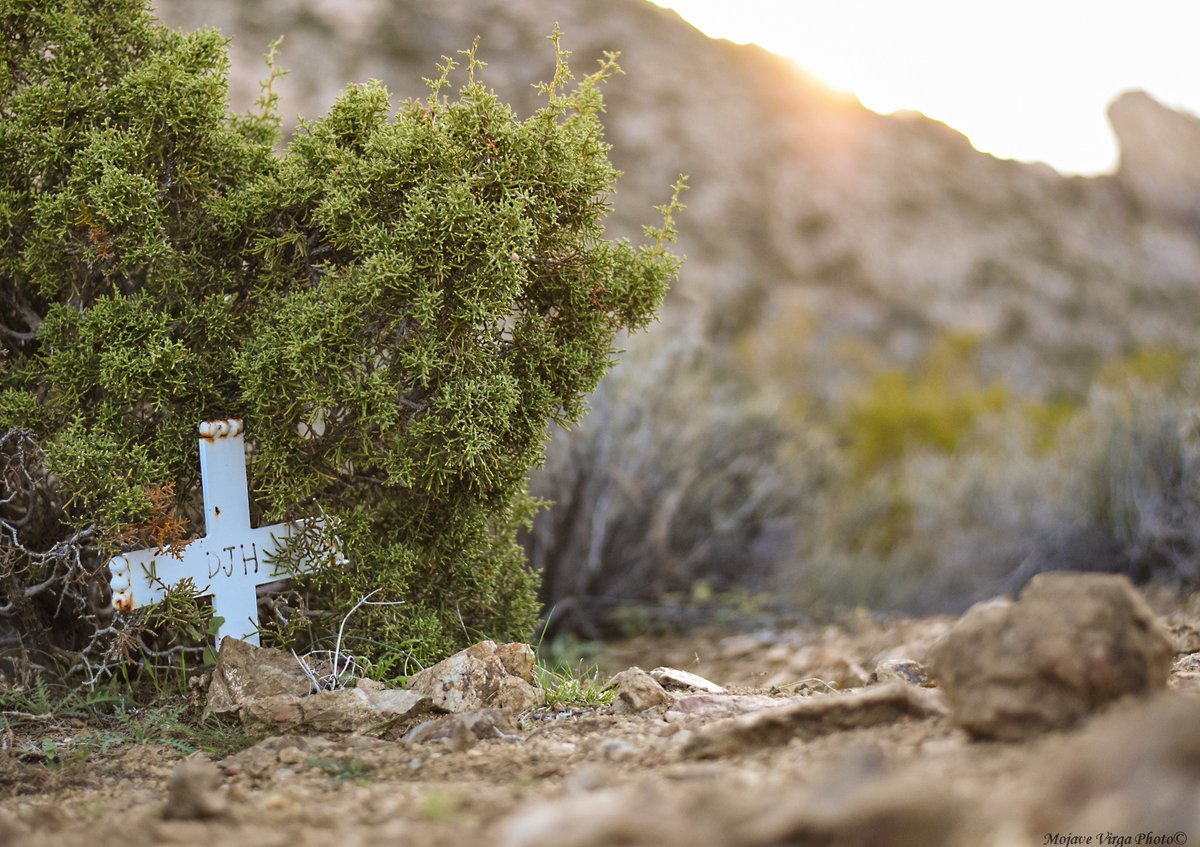 PhotosByOBrien's tweet photo. metal cross
(in memory of DJH)

#roadsidememorial #nv #avikwaame #spiritmountain #mojavedesert #lakemead #cross #metalcross #desert #mojavevirgaphoto #mojave #nevada https://t.co/cQHHds5bFC