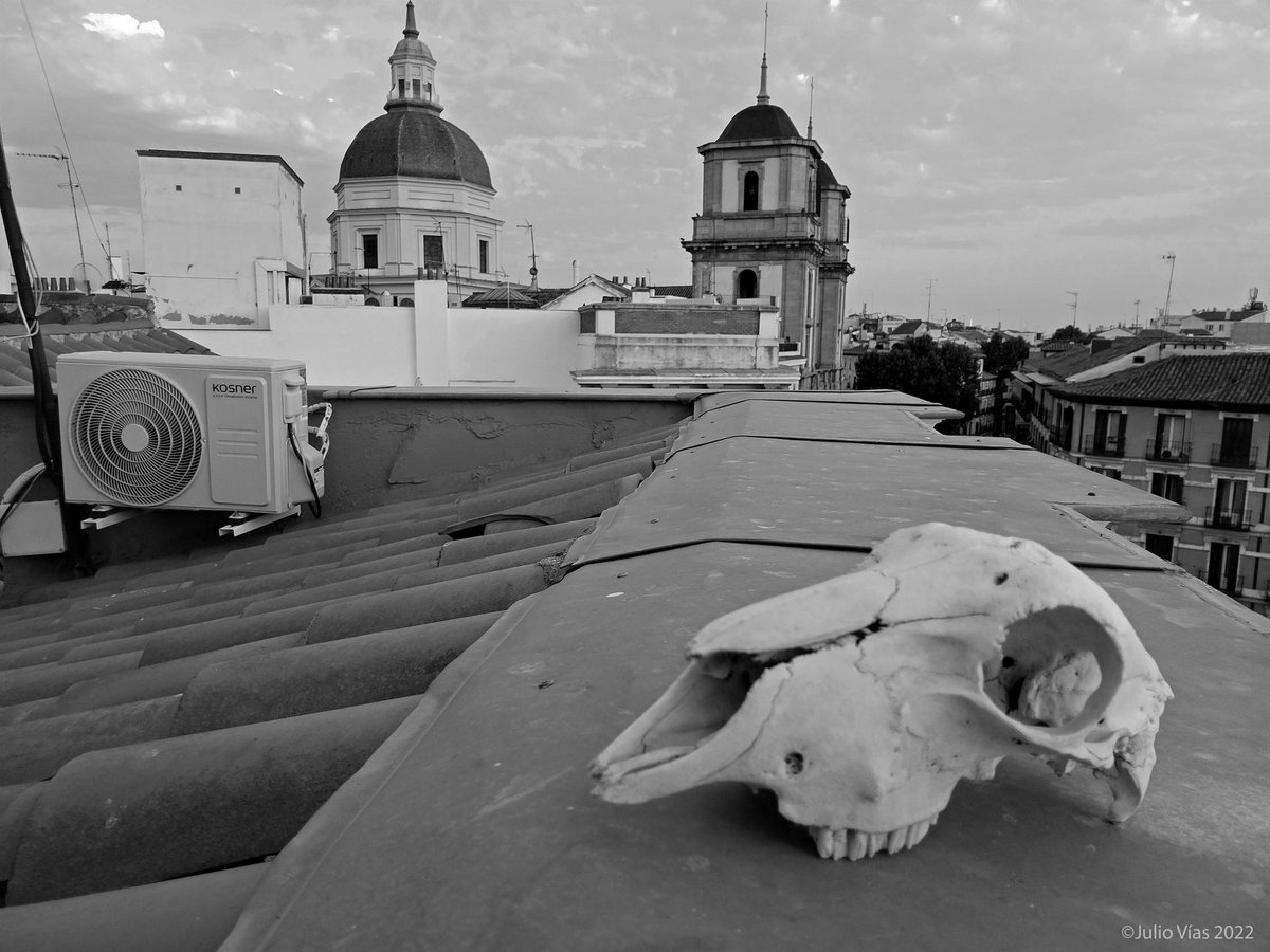 'La madre del cordero achicharrada' (vanitas en grisalla con simbología actualizada del barroco, alegórica al futuro que nos espera #inictuoculi 👁️)
🙃 🙁
#Oladecalor #Madrid
#Emergenciaclimática
#Ahorroenergético #FinisGloriaeMundi
🥵 🔥 🌡️