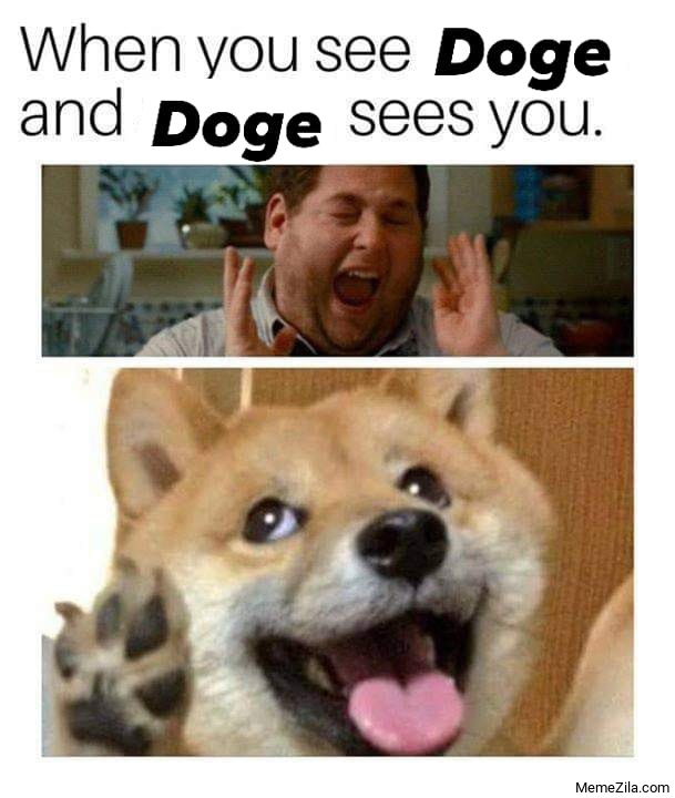 RerirHerlaSigi's tweet photo. #Dogecoin https://t.co/UJKlrawKqf