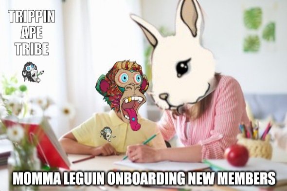LabRAT 🧪 {C̶U̶L̶T̶} tweet media