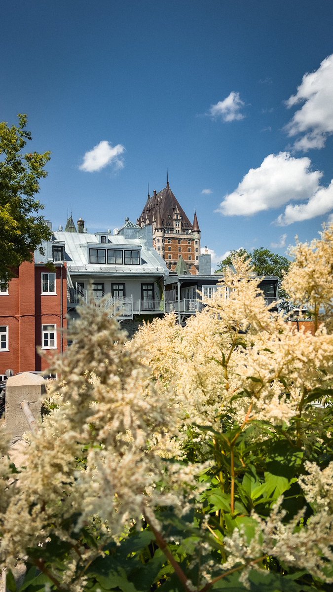 Quebec City ♥️🇨🇦

@TourismQuebec 

#Quebec #OldQuebec #iPhone13ProMax #Canada #Summer