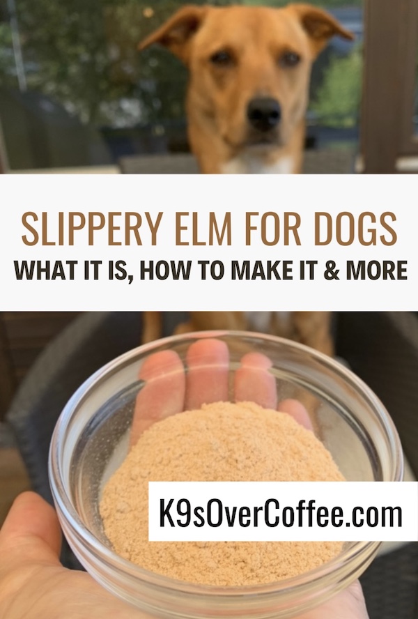 K9s Over Coffee tweet media