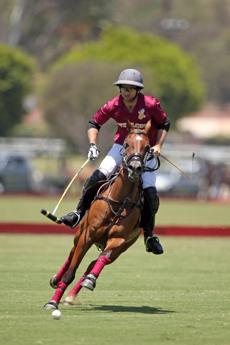 US Polo Association tweet media