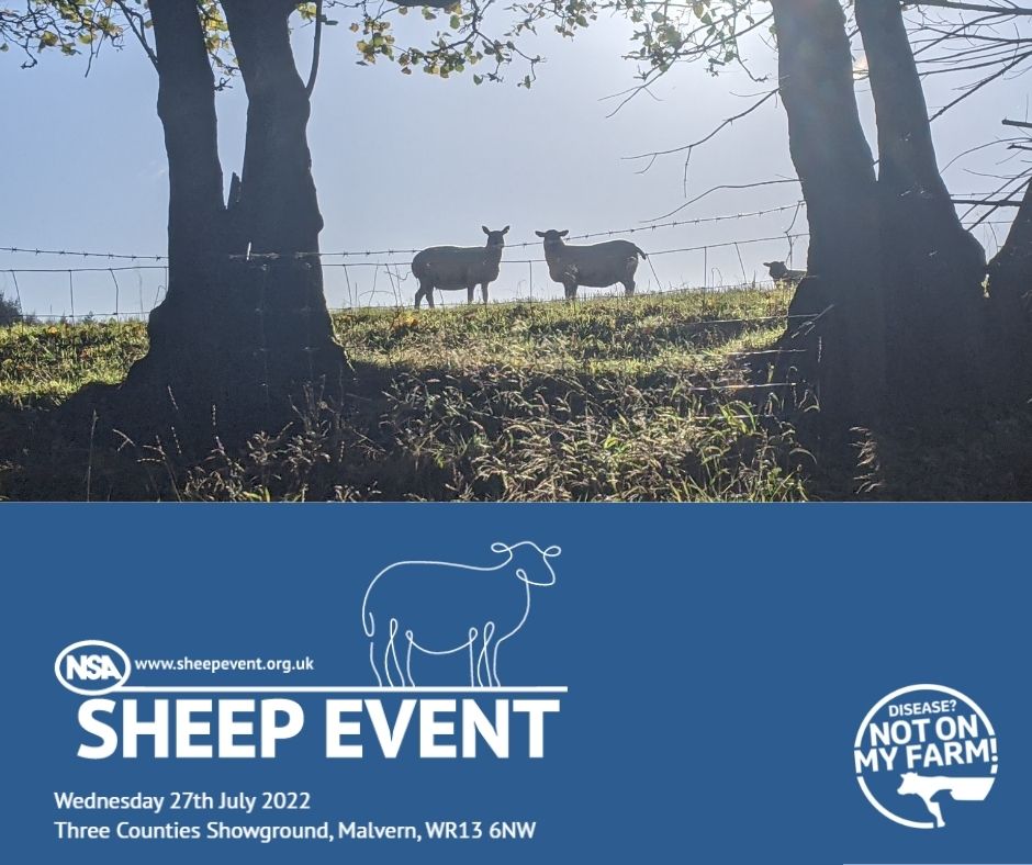 SenseHubGB's tweet photo. Who’s taking a trip to @natsheep’s flagship #SheepEvent on 27 July at the @3countiesshows site?

Packed with innovations, workshops and competitions, there are so many opportunities to refresh and grow your technical knowledge.

#APositiveFuture https://t.co/Q22UE22CSJ