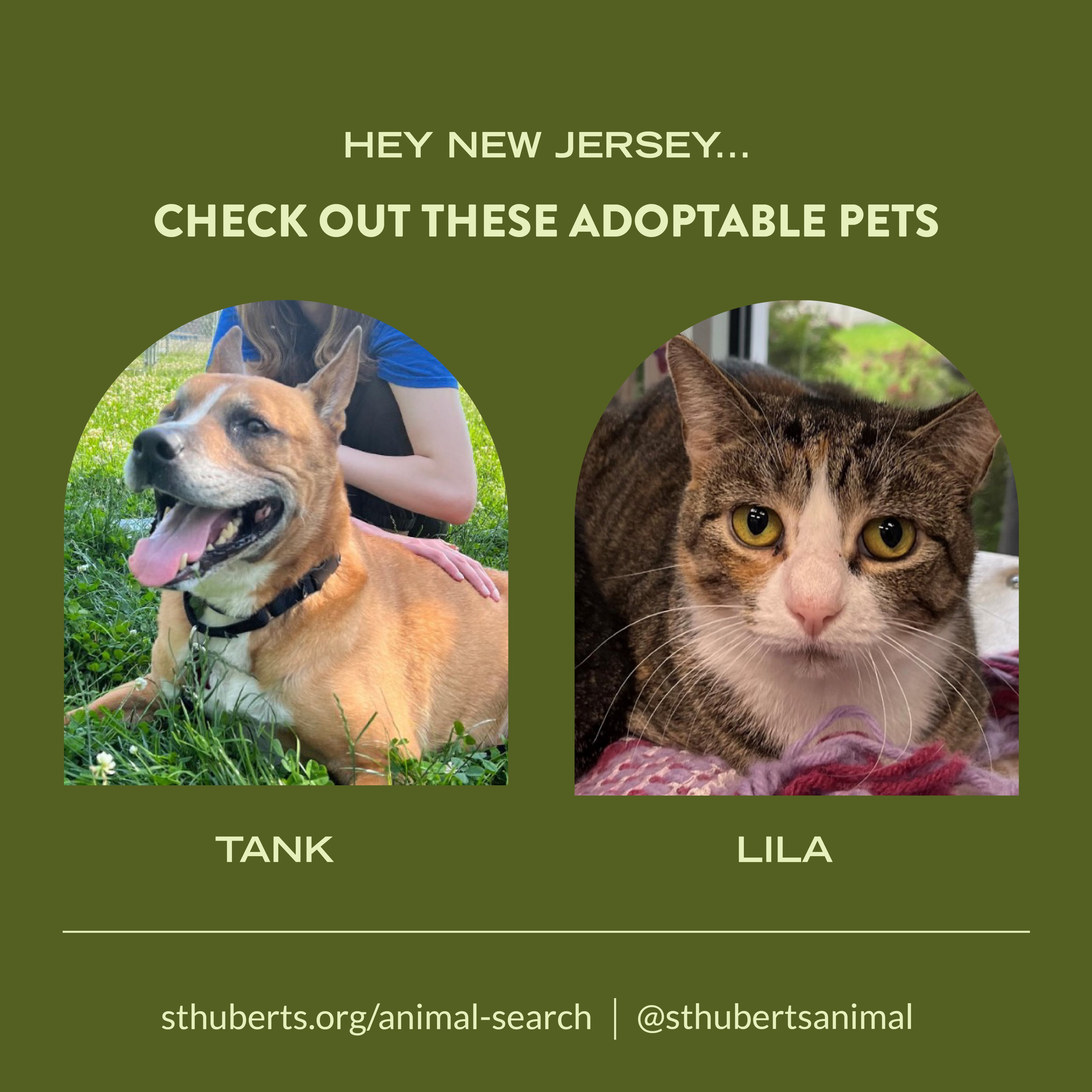 Freshpet (Freshpet) / Twitter