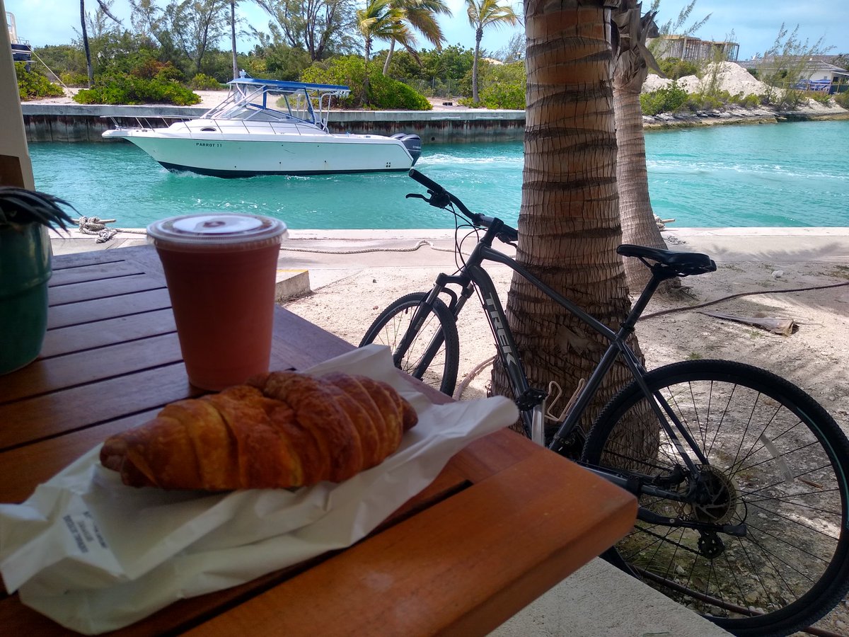 AWayToLess's tweet photo. A bike ride to the cafe for smoothie, croissant and turtle sightings 🐢 https://t.co/0HftKWKPxK