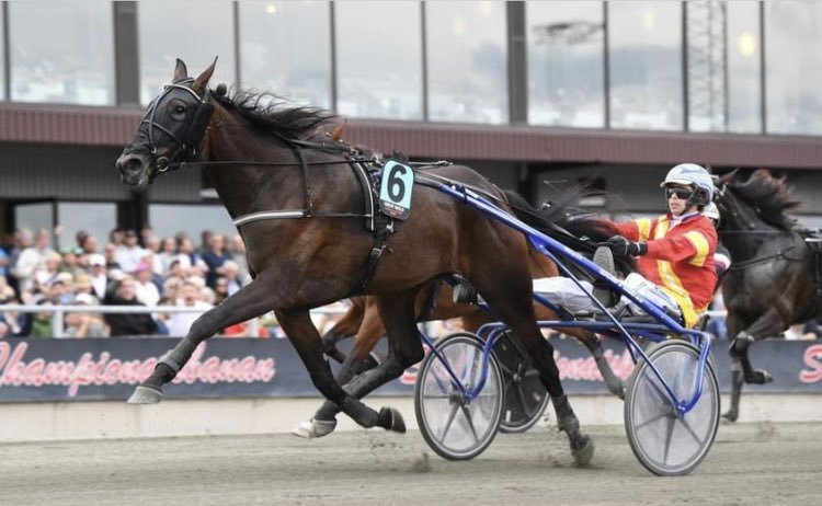 StallWajersten's tweet image. 🌟🌟Great Skills 🌟🌟
vinner Stochampionatet 2022!

Snabb start vilket resulterade i rygg ledaren, in på upploppet kom luckan och fantastiska Greta kunde avgöra på linjen! 

Segertid: 12,5a 2640m (nytt svenskt rekord) 
Ägare: Bro Byggnads AB
Skötare: Martina Gilljam