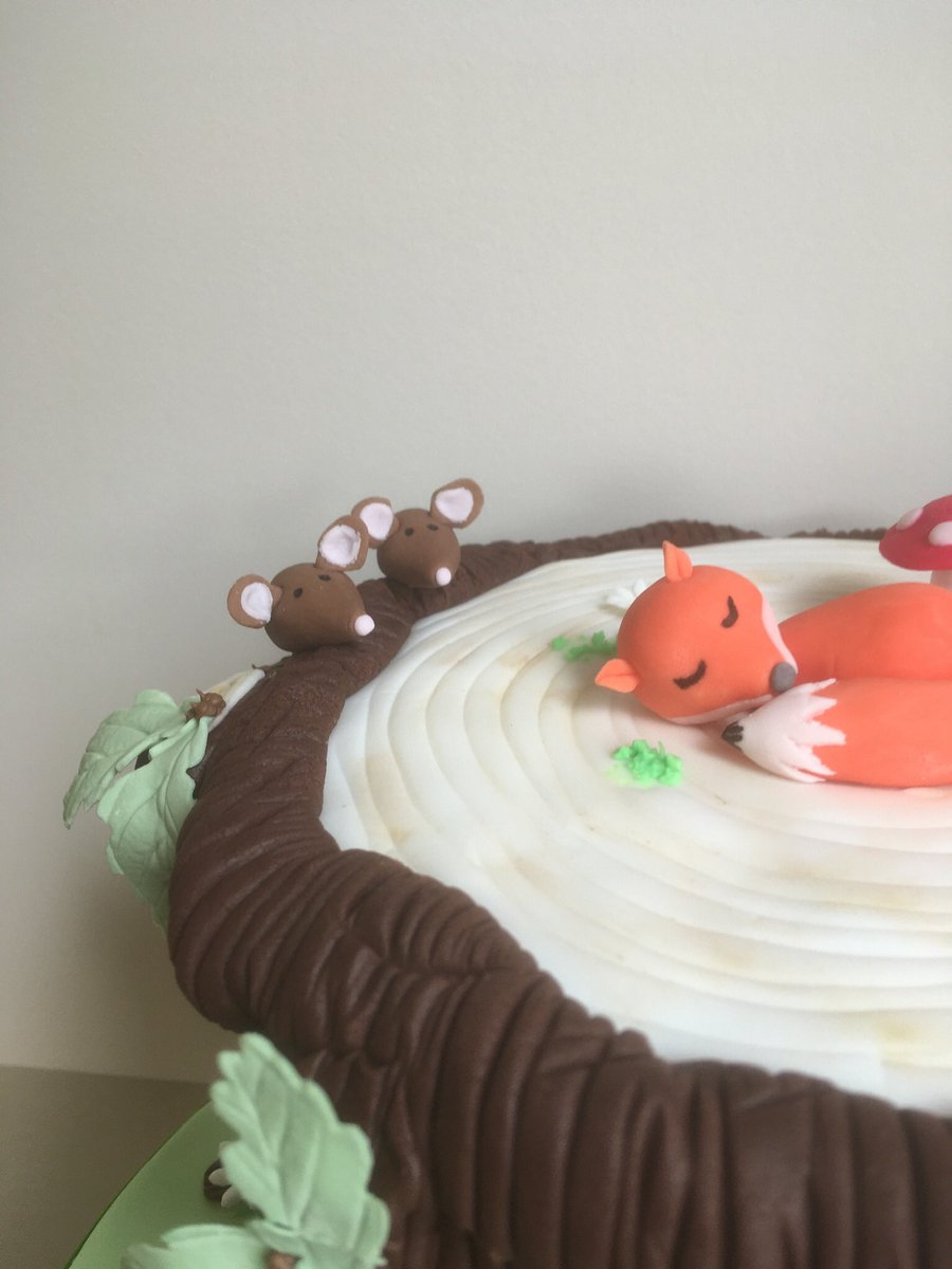 porshamcakesuk's tweet photo. Sleepy foxy, some mice, toadstools and a chocolate tree stump cake.
#cake #treestumpcake #birthdaycake #cakesupplierdevon #devonfoodie #Devon #foxcake #porshamcakes #fooddrinkdevon #tasteofthewest #circulareconomy #littlepodvanilla #luxurycake https://t.co/k2RjNu3q5w