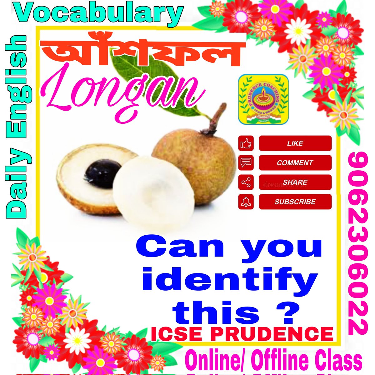 icseprudence's tweet image. Longan #icseprudence #আঁশফল #spokenenglish