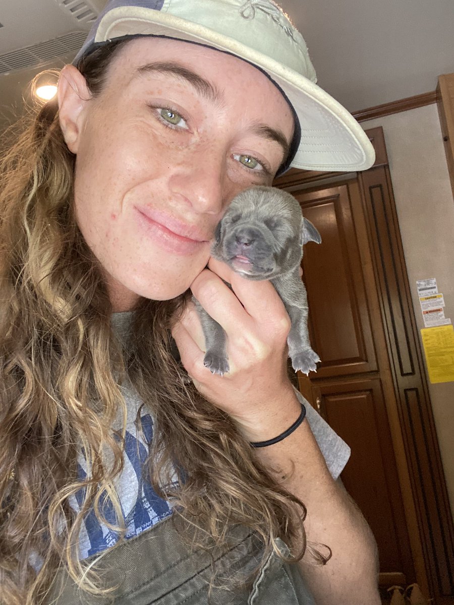 hiitaylorblake's tweet photo. As if life isn’t crazy enough, I got a call last night about 4 neonatal puppies that were going to be put down if they couldn’t find someone to take them in. That being said, I am now bottle feeding 4 puppies 😅 https://t.co/xyuc5KxG65