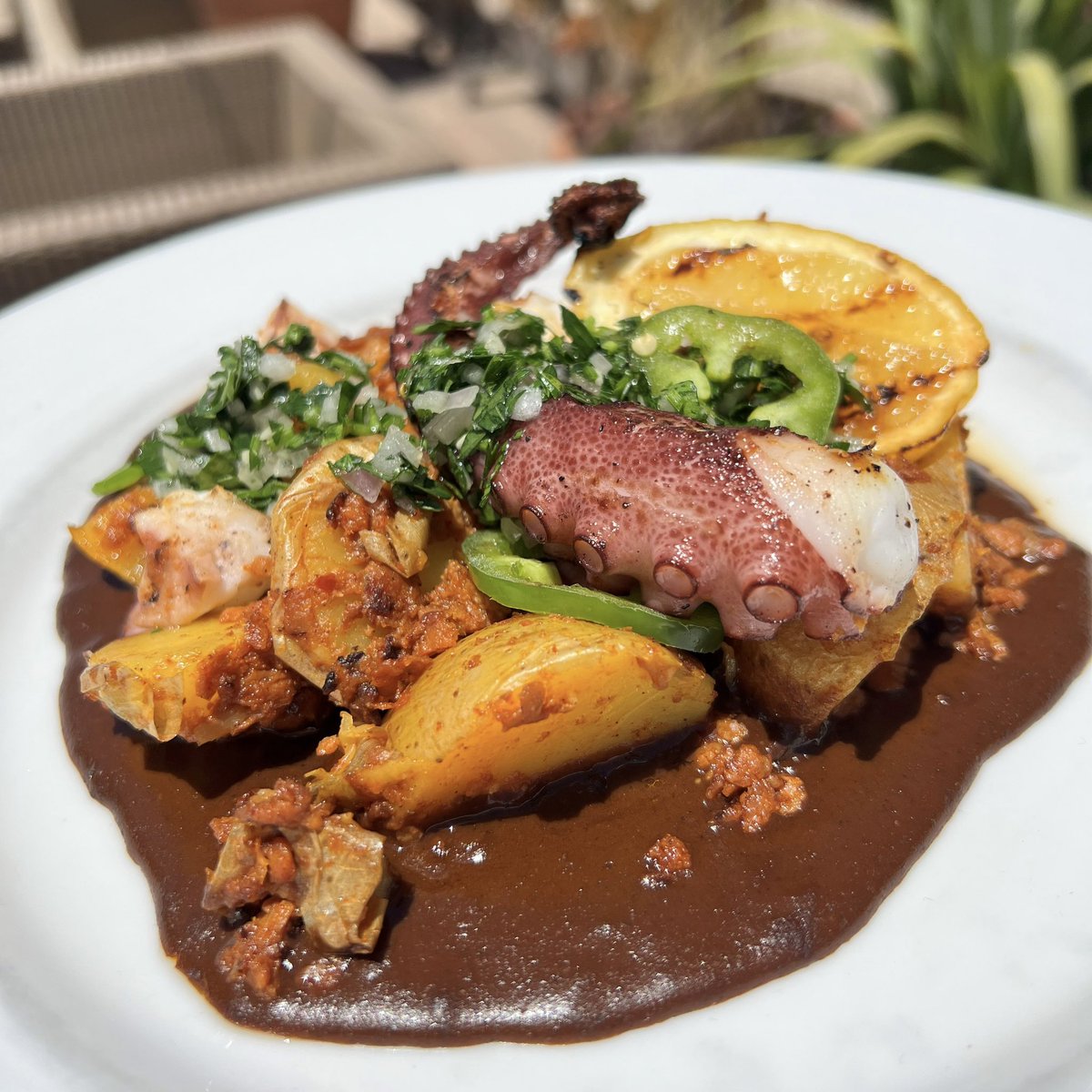 Honda Center on Twitter ".FuerzaRegidafr SPECIALS Grilled Octopus → Brewery X Biergarten Taco