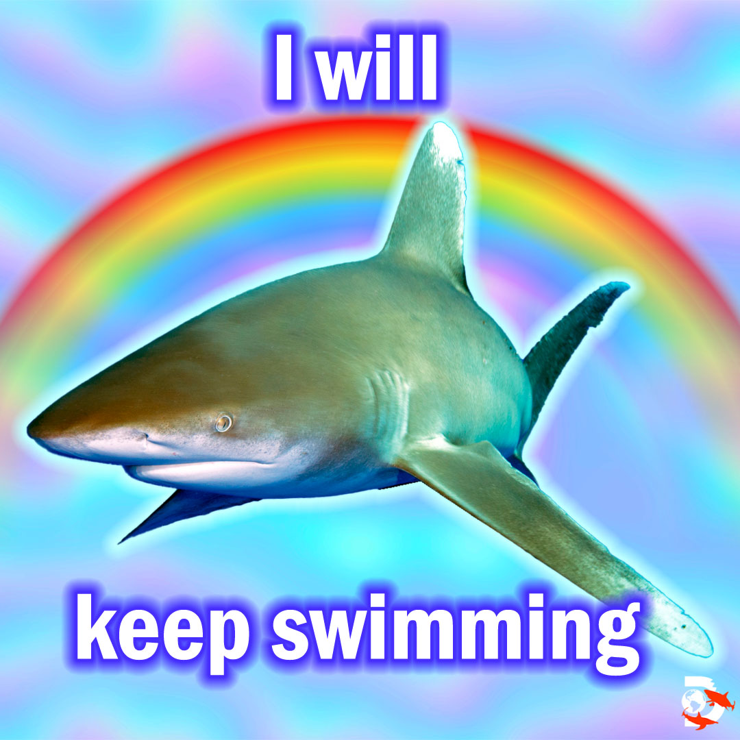 SharkWeek's tweet photo. "I WILL KEEP SWIMMING!" ‼️

#Mondays are for #Affirmations 💛🌈😌

#SharkWeek continues all week long on @Discovery and @discoveryplus! https://t.co/JxqgvQrwLO