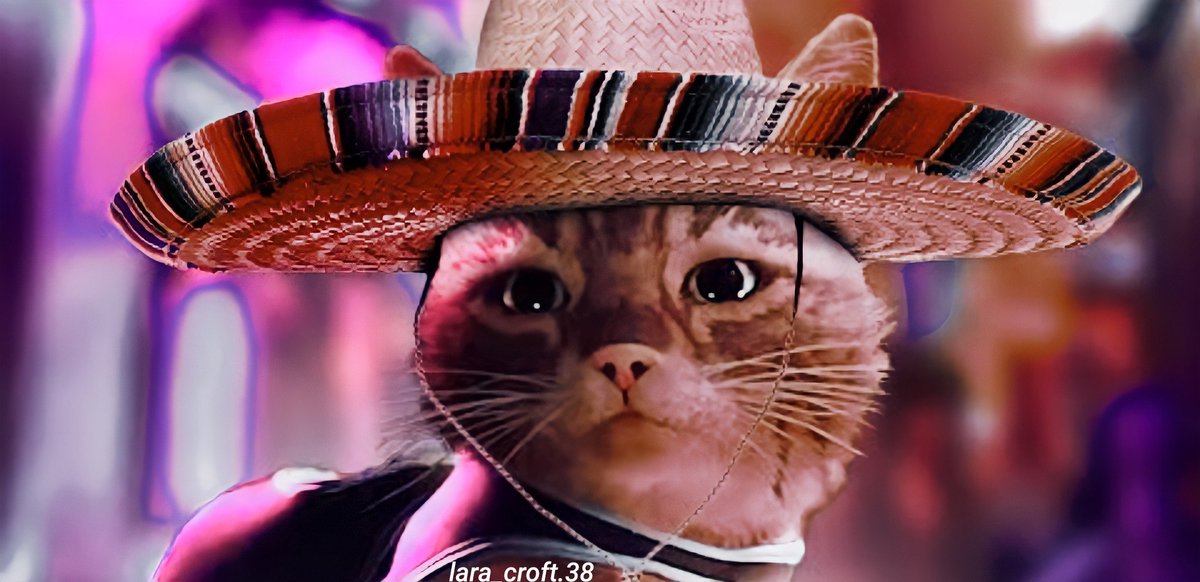 LaraLaracroft38's tweet photo. #straycatgame #straycat #straycatj #strayc #VirtualPhotography #photography #photographer #photograph #photograghy #Photographie #photographs #PhotoMode #PHOTOMO撮影会 https://t.co/qTBAXvMWvy