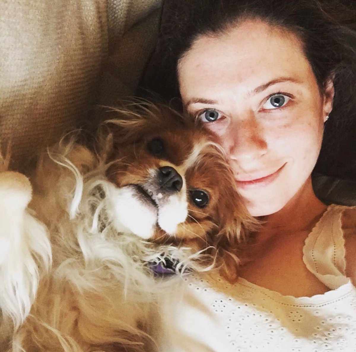 GoodGirlZelda's tweet photo. Happy birthday, mommy! I love you!!! 💗💗💗
@IamLaurenMiller @SethRogen @WeAreHFC @PointGrey @HousePlantCo #ZeldaFace #DogsofHFC #DogsofPointGrey #DogsofHousePlant https://t.co/6b3O36gAM7
