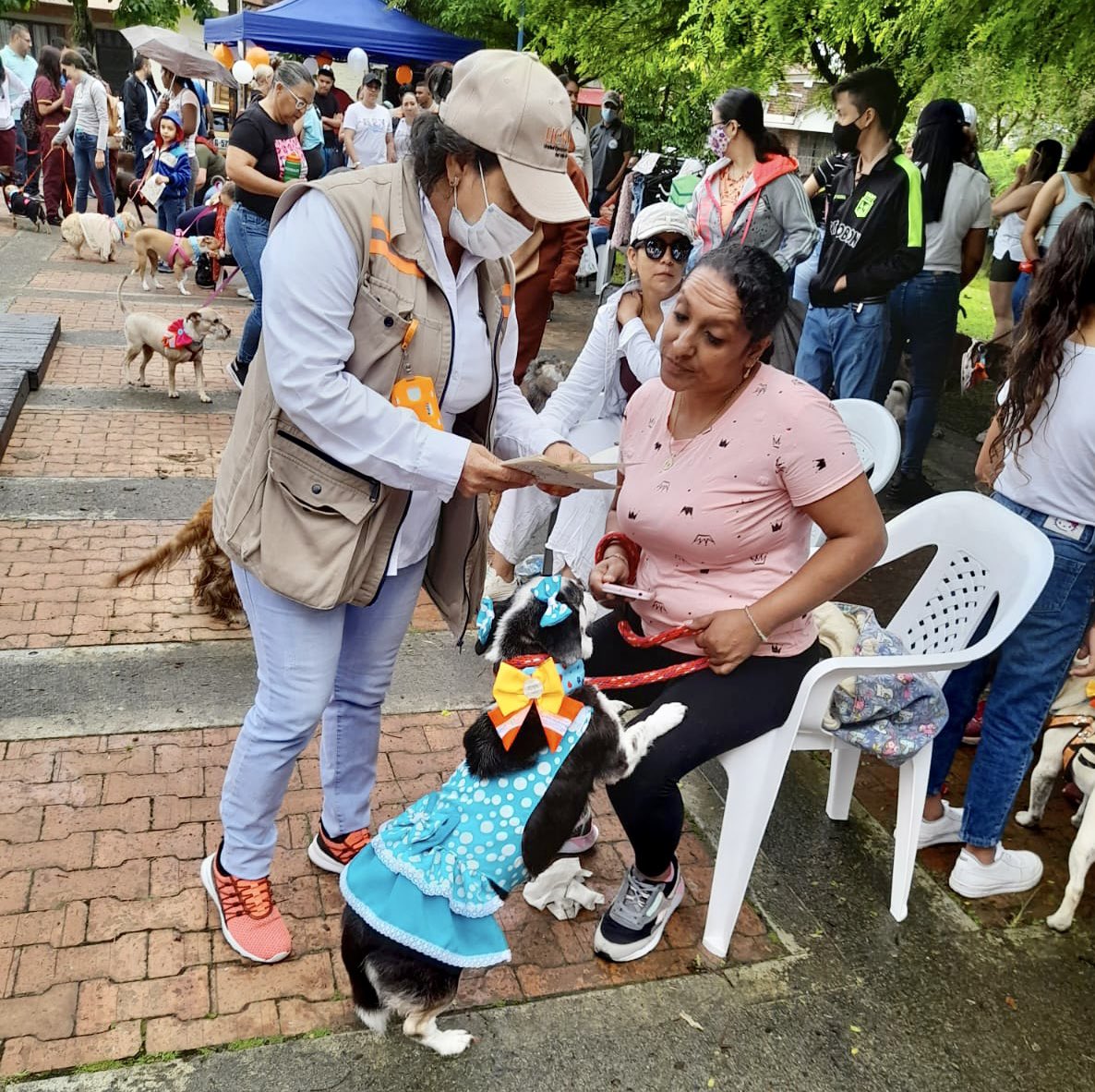 ues_valle's tweet photo. 🐶 Nos unimos al #FestivalDeMascotas🐾 en las fiestas aniversarias del municipio de #Caicedonia, compartiendo con los niños y niñas los cuidados y la tenencia responsable que deben tener con sus peluditos 🐕🦺
@GobValle
#ValleInvencible https://t.co/nKbNYDhIm7