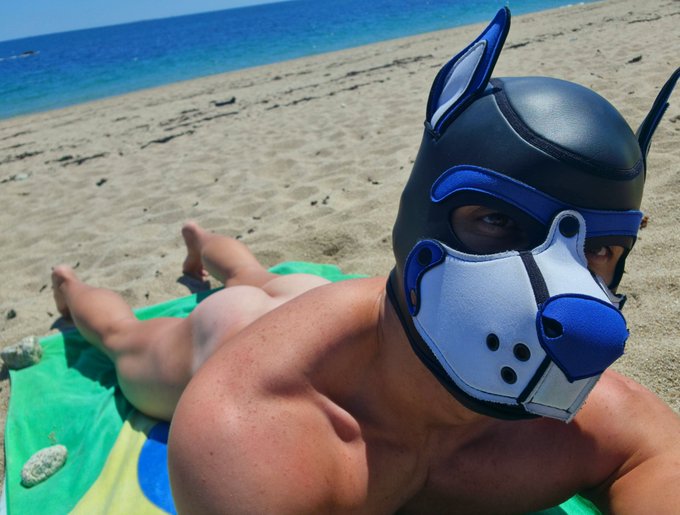How to find me at the beach😈 https://t.co/nb64N9Hsm1<a href="/tag/folsomberlin"class="tags"><span>#folsomberlin</span></a>