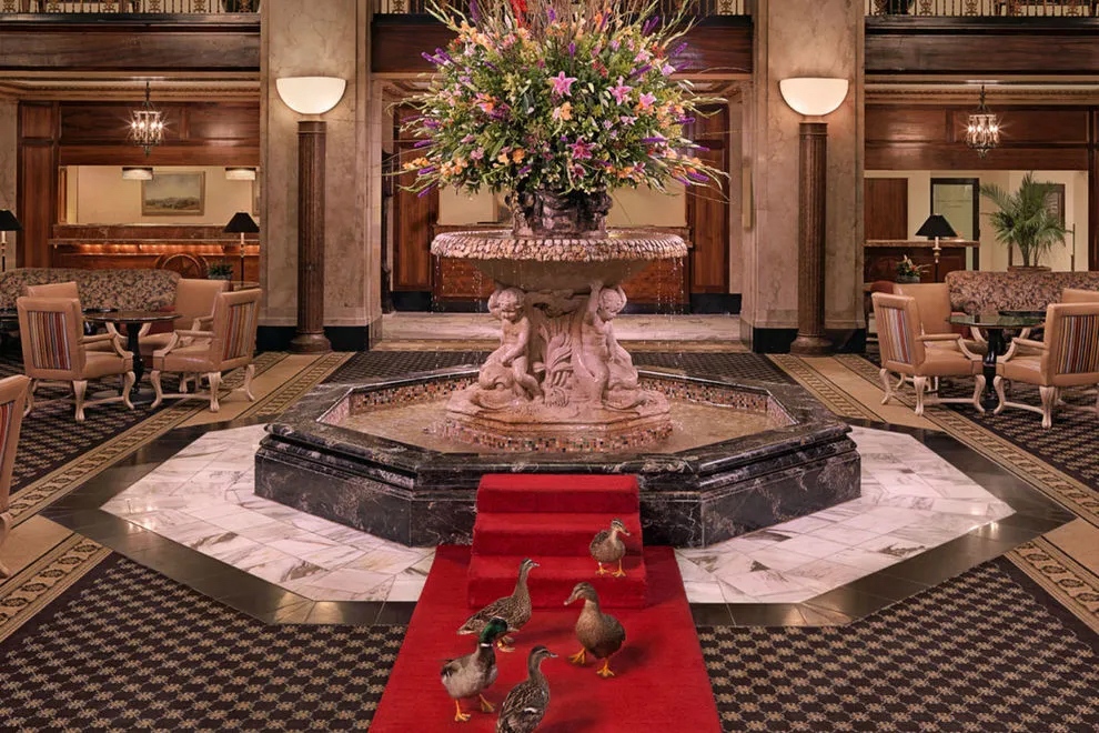 The Peabody Memphis has been nominated for the USA TODAY 10Best Historic hotels. You can vote daily for the next 28 days. We would love to have your support!! Please tag/share with your friends! 

10best.com/awards/travel/…

#thepeabodymemphis #peabodyducks🦆 #MemphisTravel