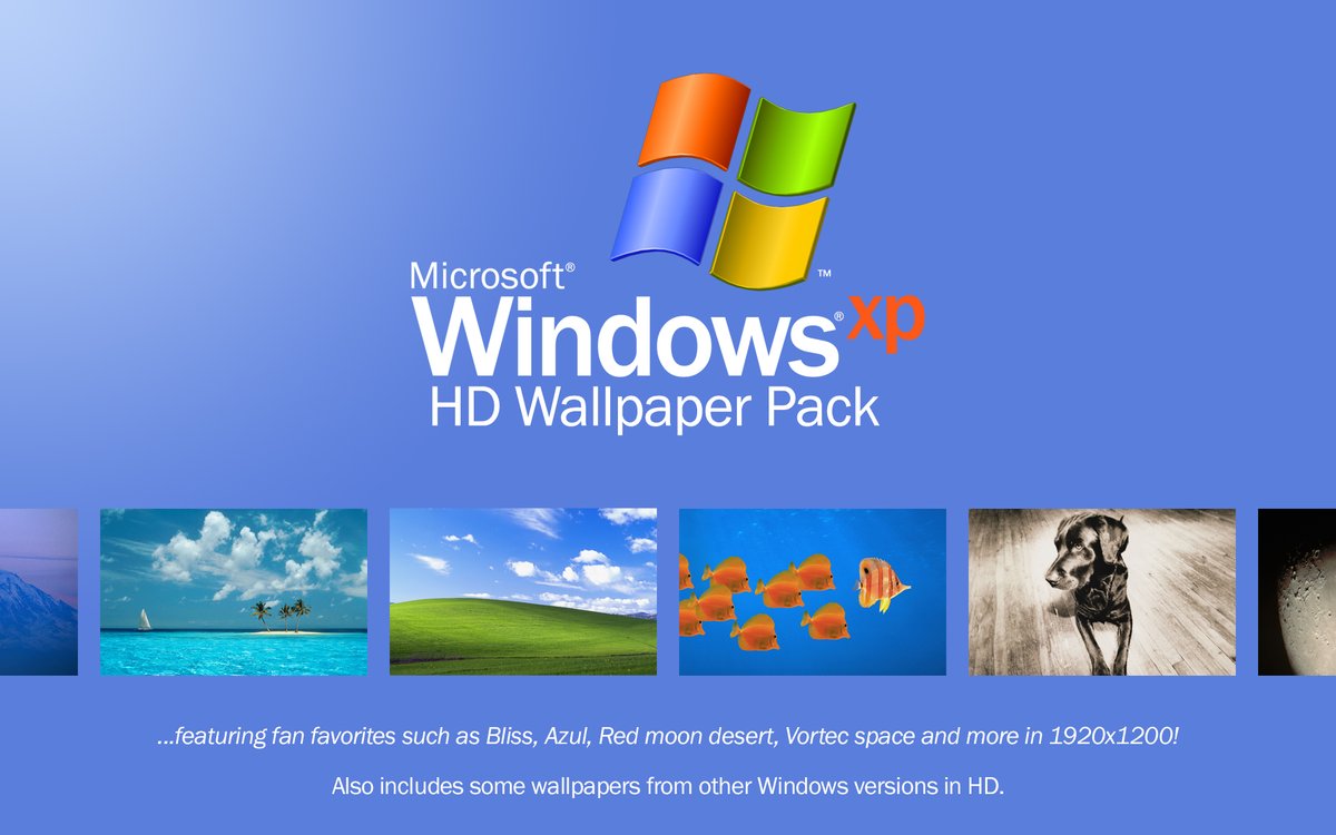 windows 2022 wallpaper