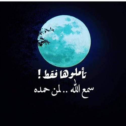 🌹💙مساء الخير إخواني أخواتي 💙🌹