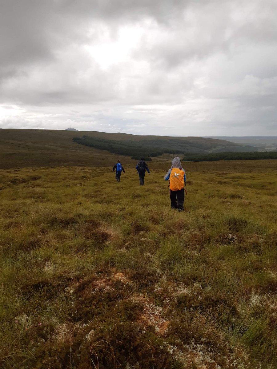 VGudauskyte's tweet photo. Another day on the field surveying deer, good thing their droppings don't stink! @NTU_ARES @NTUResearch @guaduneth @ninasayswhat #TheBlanketBogProject #BogDay https://t.co/kUqSg2J6vt