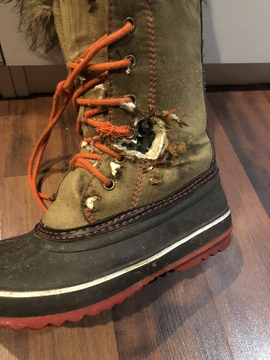 laurenichka's tweet image. That little rat bastard ate a hole in my boot! He is going to die. My hairless rats Winston &amp;amp; Bernard (rip) would have never done this! Stupid street rat 🤬
#RatProblem #boot #CashAppMe $laurenichka 
#venmome