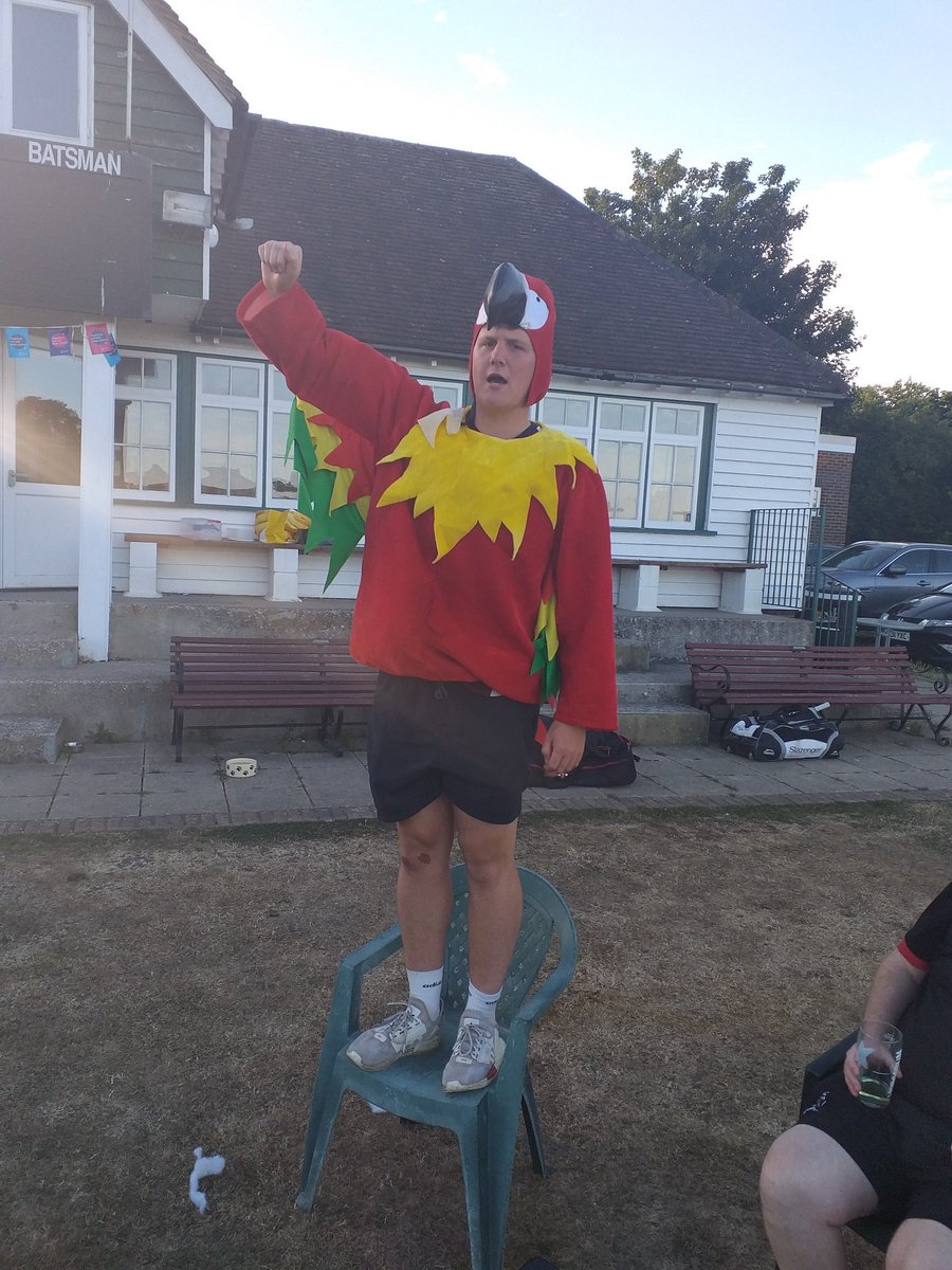 Shepherdswell CC tweet media