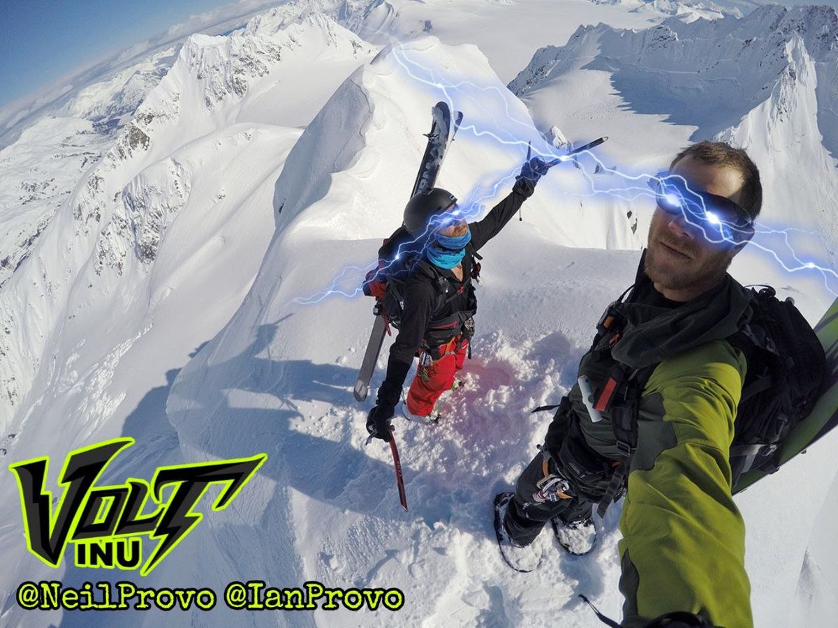 Volt Inu ⚡️ tweet media