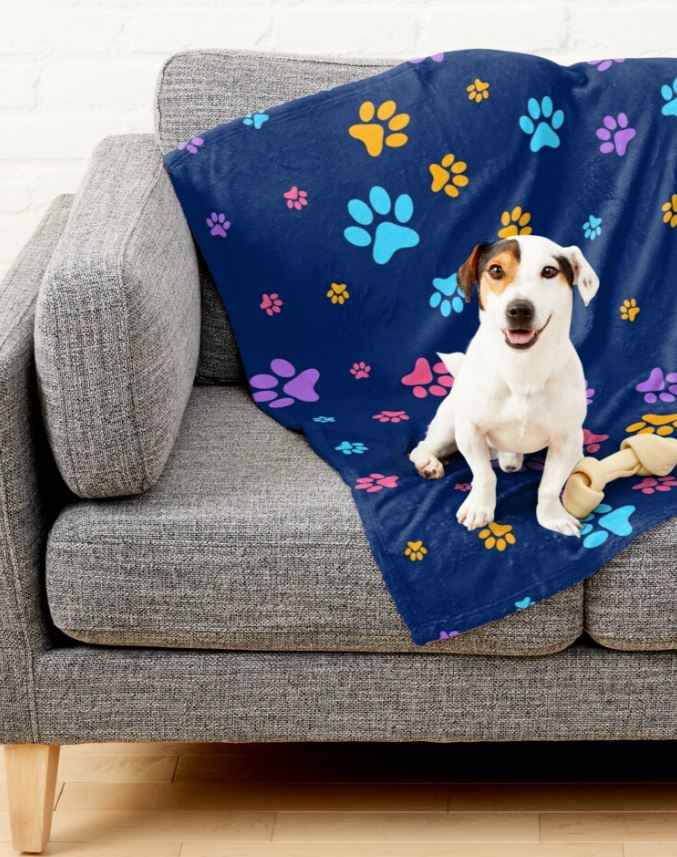 Madoo203's tweet photo. https://t.co/XgMBFrKFL1
Pets beautiful Pattern Pet Blanket
#Pets
#Pets_pattern
#Cats
#DogsOnTwitter https://t.co/pb9QgtYo4l