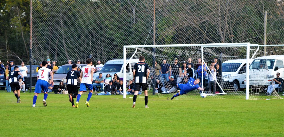 mario san martin porta tweet media