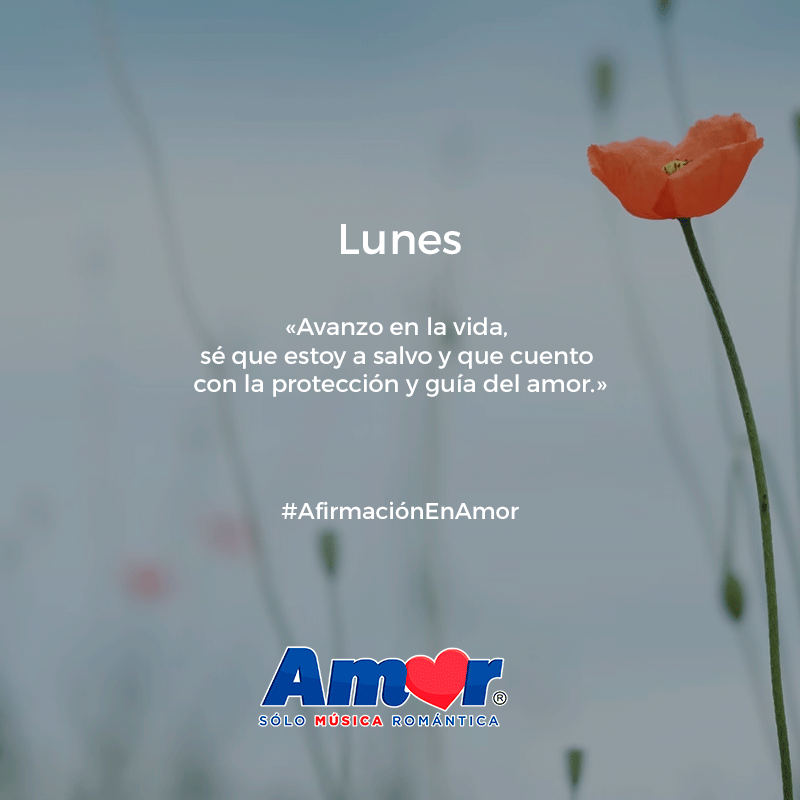 IndiraEnAmor's tweet photo. ¡Buenos días! Que tal el fin de semana?
Empezamos con la #AfirmaciónEnAmor y

Te espero a las 10am 👉https://t.co/zWlD8hwfkF https://t.co/YBiIZ1ktzA