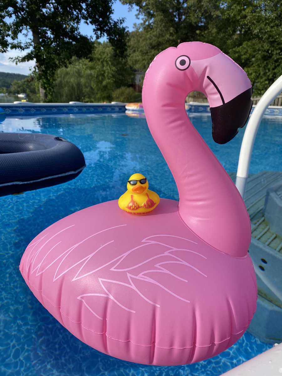 TLWarner297's tweet photo. Lil Biddy had a big weekend boating and chilling by the pool!  #RooseveltDucksOut @KCS_Roosevelt https://t.co/BkTWNmk5eh