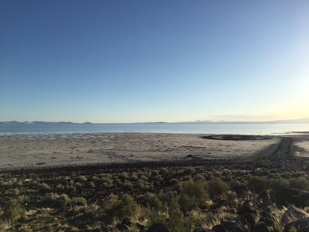 WildMormonism's tweet photo. When I first found myself in the Wilderness, I found it lonely and barren. The longer I’ve been here, the more convinced I am that the Wilderness is actually filled with surprises, oases, pioneers, and life.
 
Glad to be wandering in this strange land with you, fellow pioneer. https://t.co/NE3B1u8TPC
