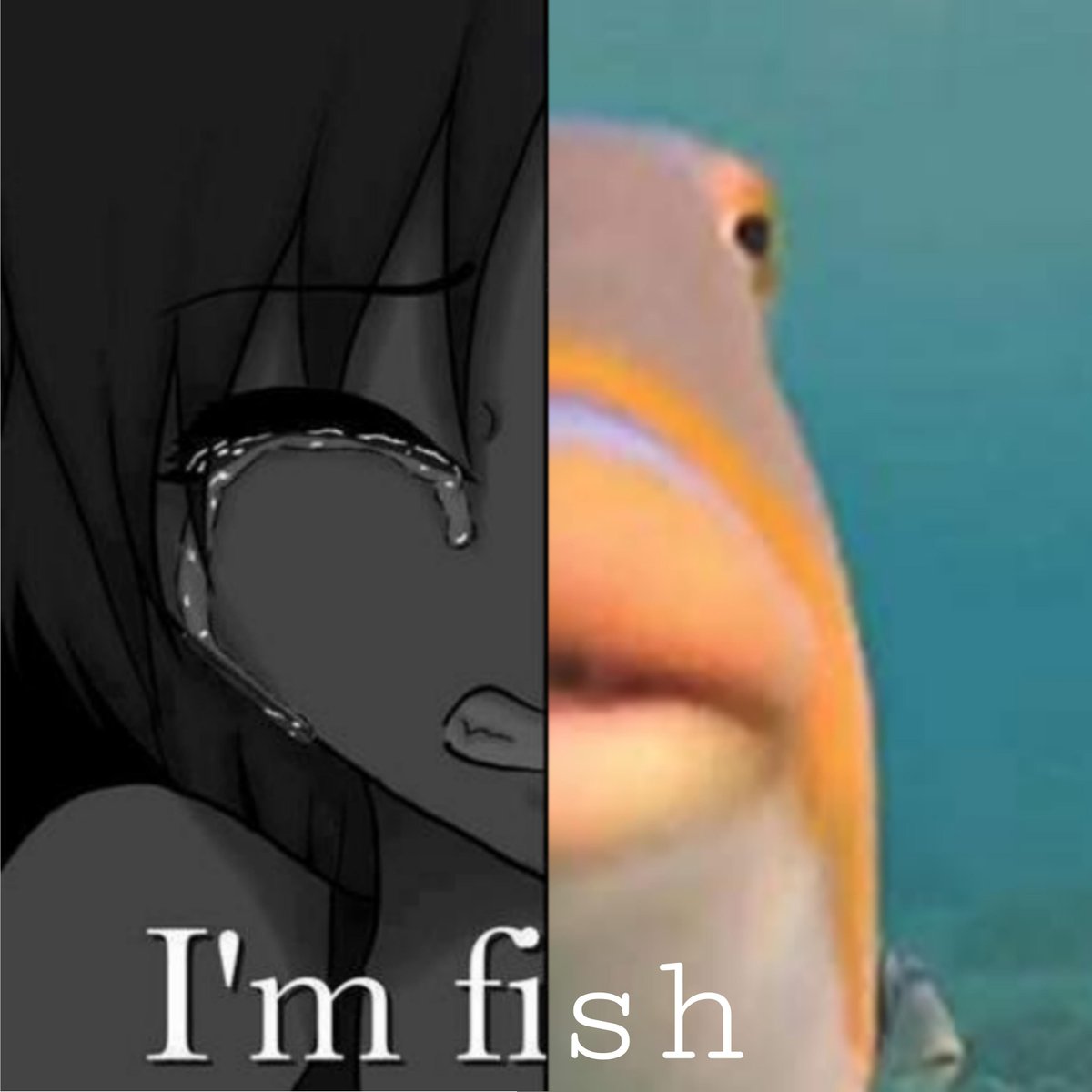 ‎‎ ‎‎‎‍ ‍‍ ‍ ‍ ‍ ‍ ‍ ‍ ‎◟◟ 𝓢𝐌𝐈𝐋𝐄 𝐎𝐅 𝓡𝐄𝐀𝐏𝐄𝐑𝐒 。 (@urteilsreiter) on Twitter photo 