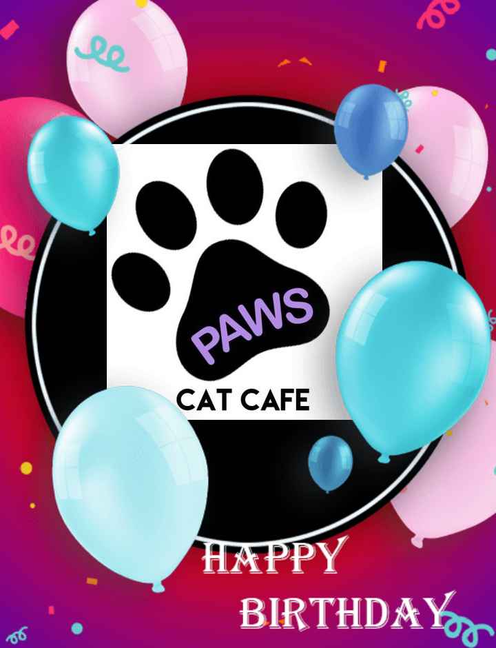 Stacy Draper #CatsDeserveBetter 🟦 tweet media